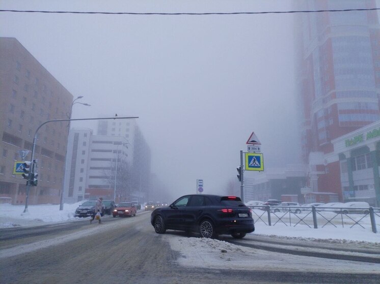 Петербуржцы встретят Новый год с пасмурной погодой