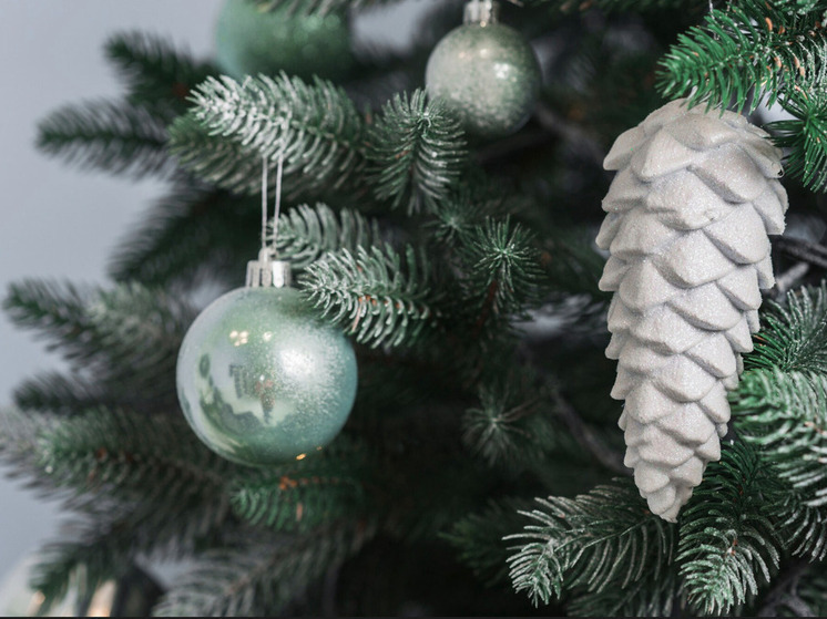 Когда ставить елку к Новому 2026 году: мнения экспертов и народные приметы для привлечения удачи