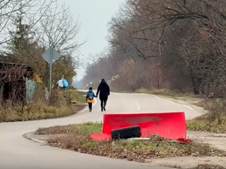 Более 80 детей из липецких СНТ ежедневно рискуют на опасной дороге