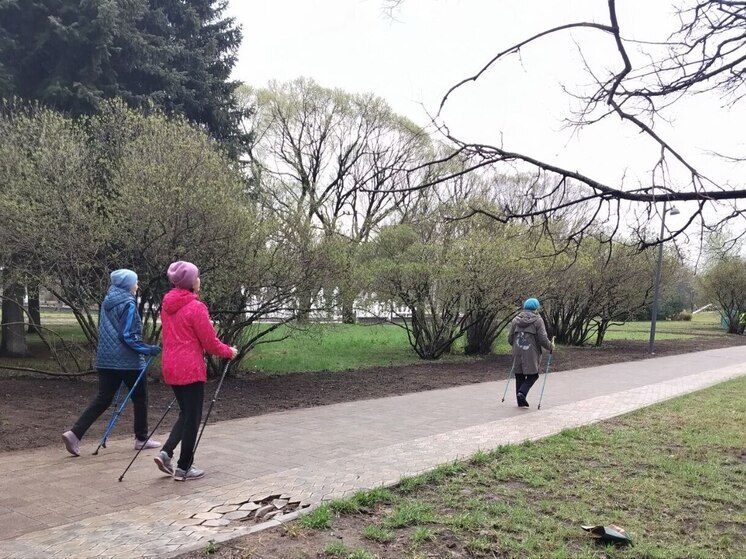 Кардиохирург Бокерия раскритиковал совет ходить ежедневно по 10 тысяч шагов