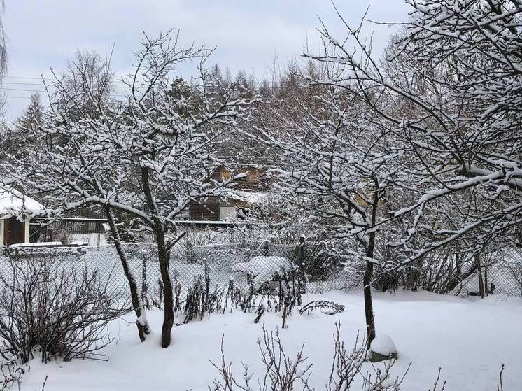В Ленобласти появятся три новых земельных участка для льготных категорий граждан