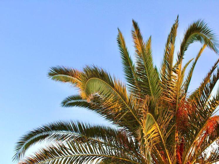 Страховщик: Таиланд наиболее аварийное направление для российских туристов