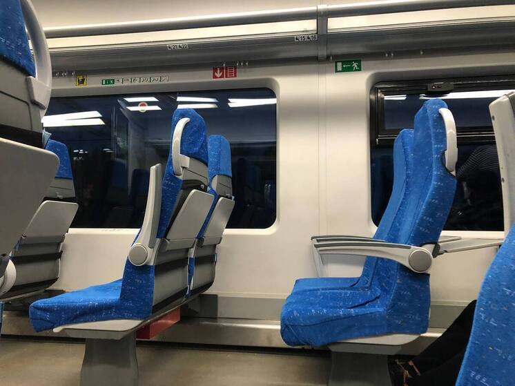 В Ленобласти по техническим причинам остановился поезд из Москвы