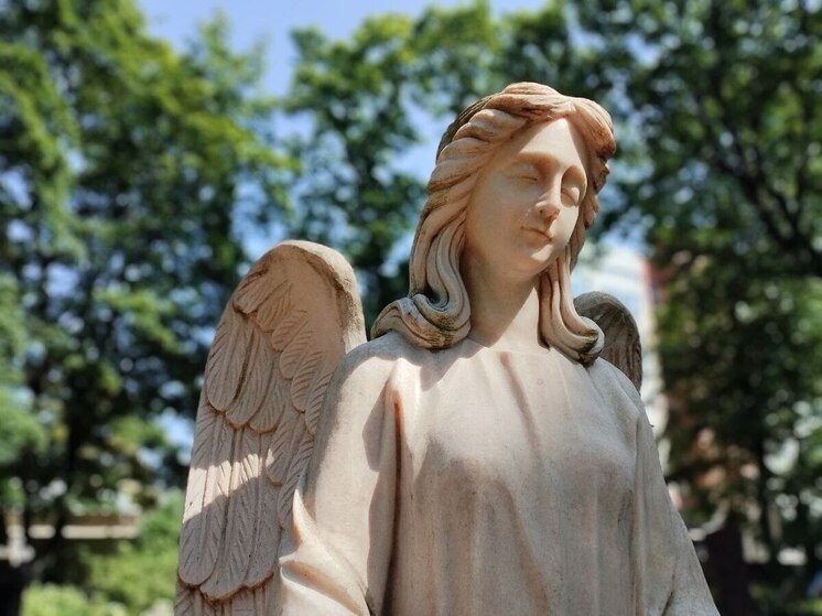 Бесплатные похороны на Южном кладбище обойдутся Петербургу в 6,4 миллиона