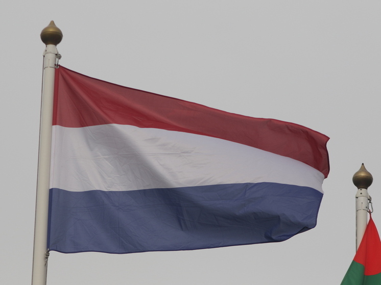 Руководитель МИД Нидерландов ван Вил: Киеву будет сложно принять план США