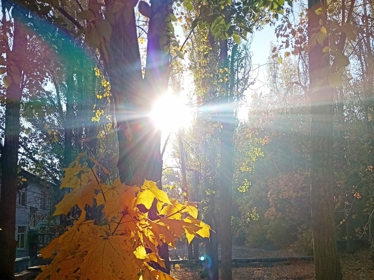 Сила магнитной бури 21 ноября составит 3 балла: день обладает особой энергией действия