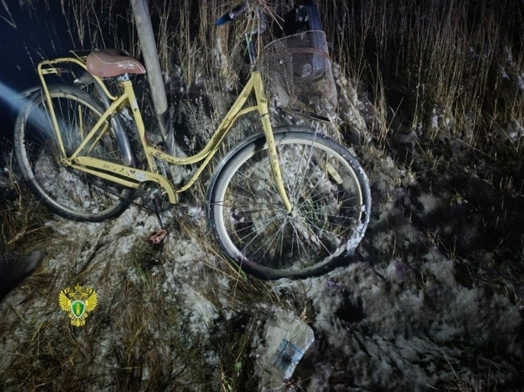 На автодороге Кострома-Сандогора «ГАЗель» сбила подростка