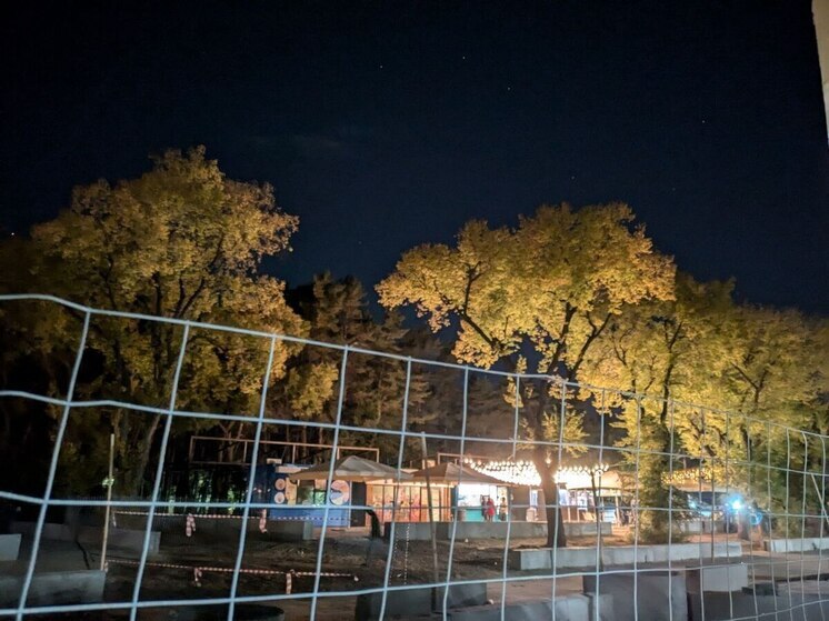 В воронежском «Танаисе» участились случаи вандализма