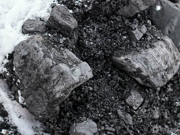 В Кузбассе намерены наладить производство высокорентабельной продукции из угля