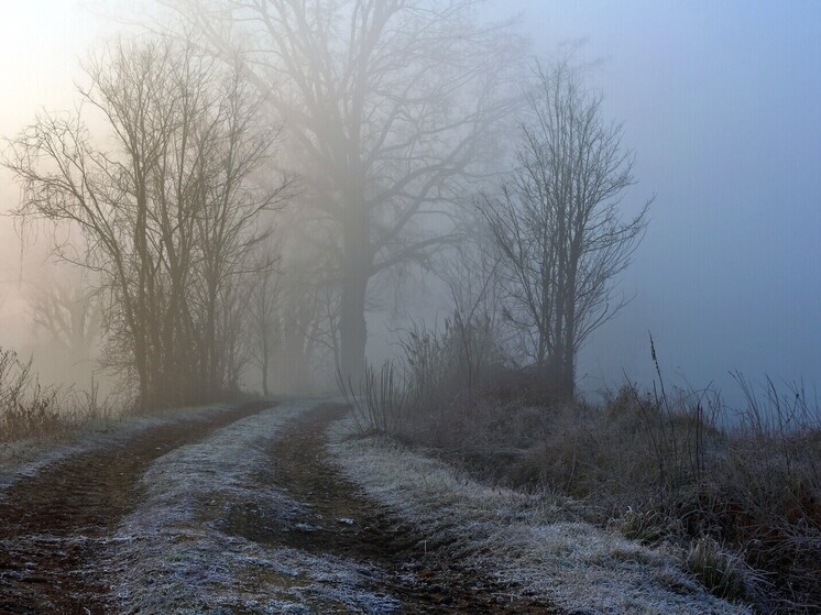 Михайлов день 2025: что категорически нельзя делать ивановцам 21 ноября