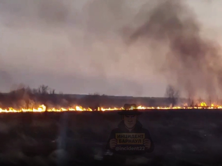 В районе алтайского села загорелось поле