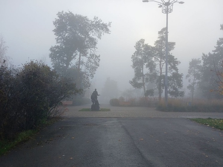 Желтый уровень опасности из-за тумана сохранится в Волгограде до 24 ноября