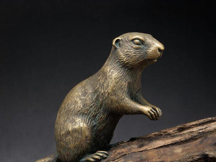 В Красноярске появилась новая бронзовая скульптура суслика по имени Вовчик