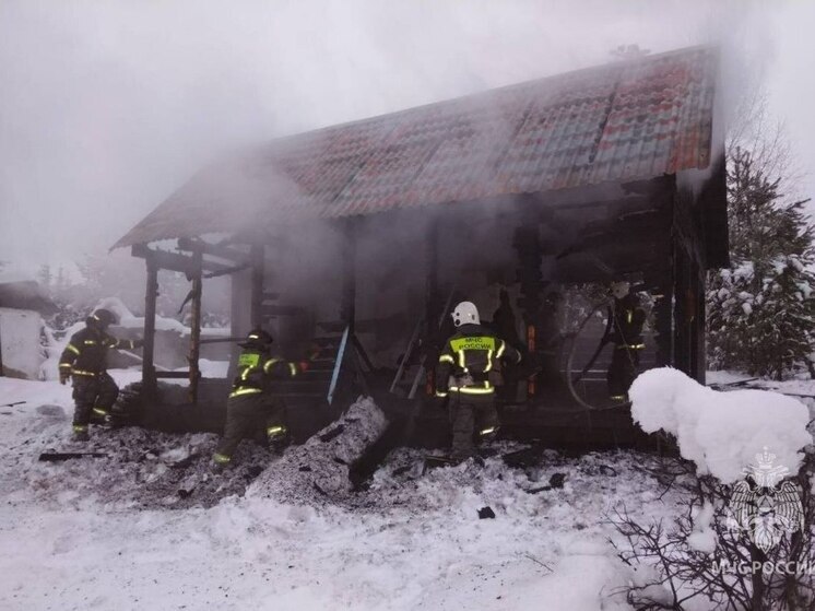 В Республике Алтай огонь охватил баню
