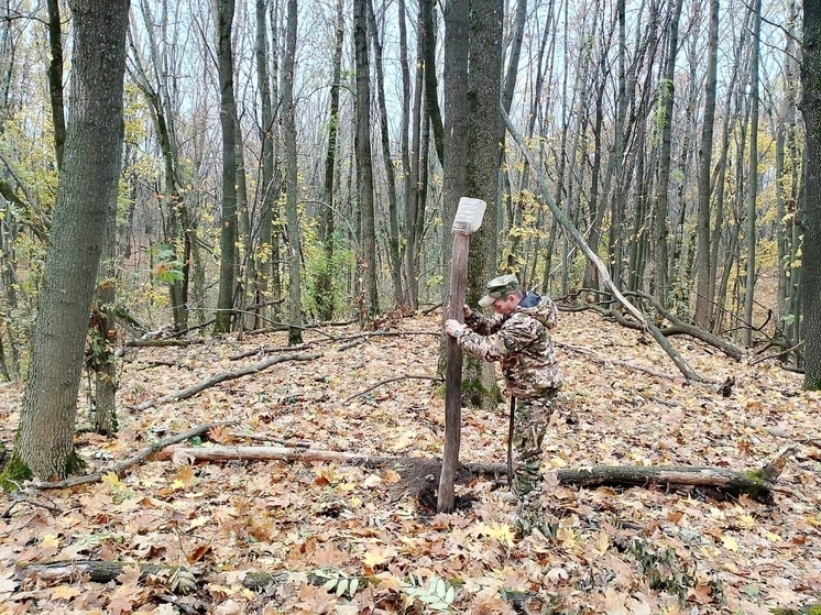 В Курской области пресекли браконьерскую добычу бобра и норки