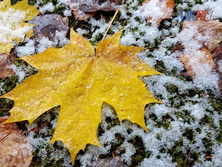 Калужан предупреждают о неблагоприятных погодных условиях