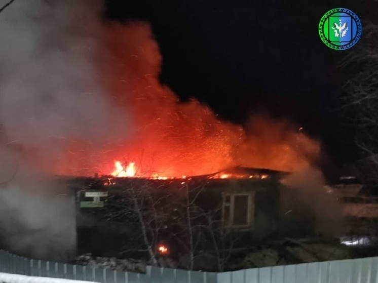 Два человека пострадали при пожаре в частном доме в Мужах