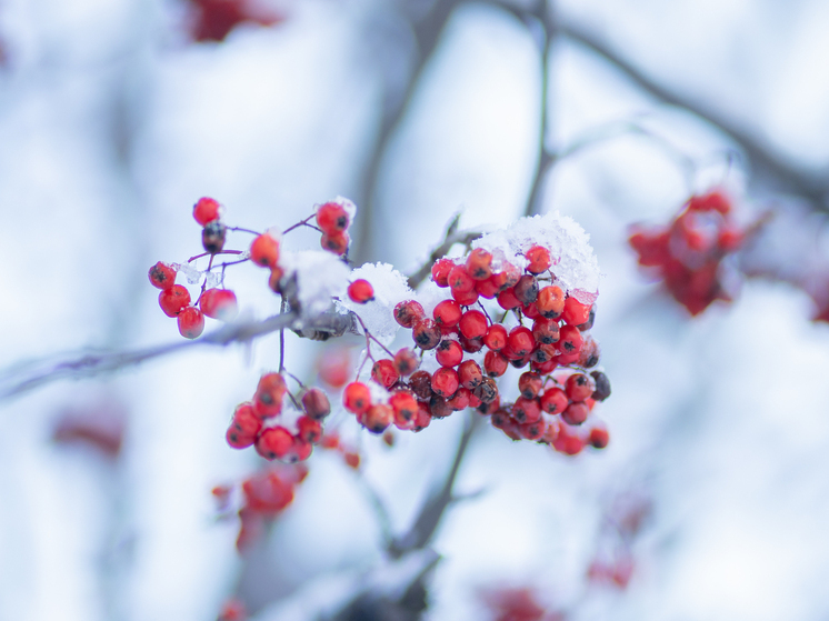 Циклоны принесут в Архангельскую область снег и понижение температуры