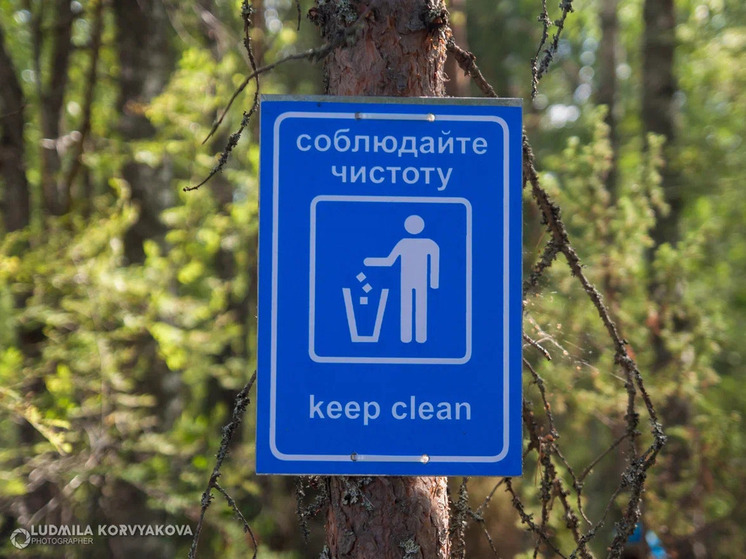 В сосновом бору Пряжинского района ликвидировали мусорную свалку