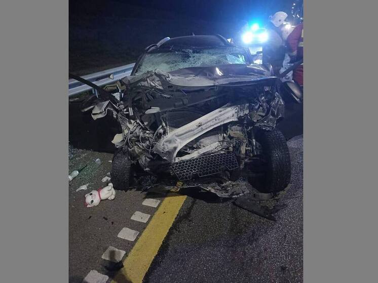 Один погиб, двое детей и взрослый пострадали в аварии под Воронежем