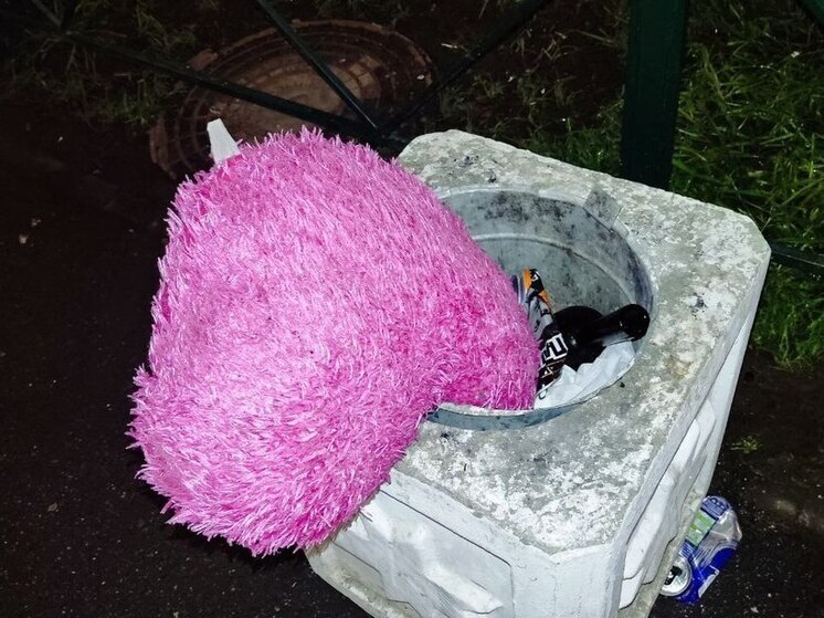 Ревность и взаимные оскорбления опустошили кошелек пары из Валдая на 6 тысяч рублей