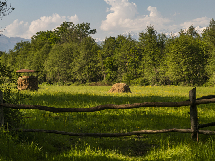 Нижегородцы смогут выкупить земельный участок со скидкой