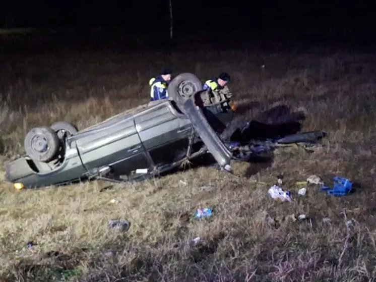 В Зубово-Полянском районе Мордовии в результате ДТП с грузовиком погибла женщина-водитель