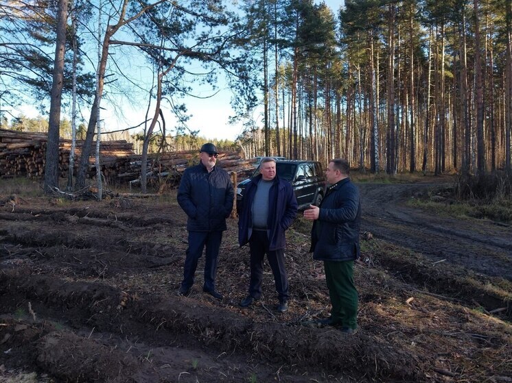 Начальник Департамента лесного хозяйства по ПФО посетил Никольский район