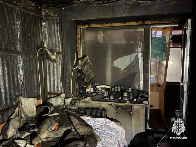 На улице Зои Космодемьянской в Твери сгорела квартира с человеком внутри