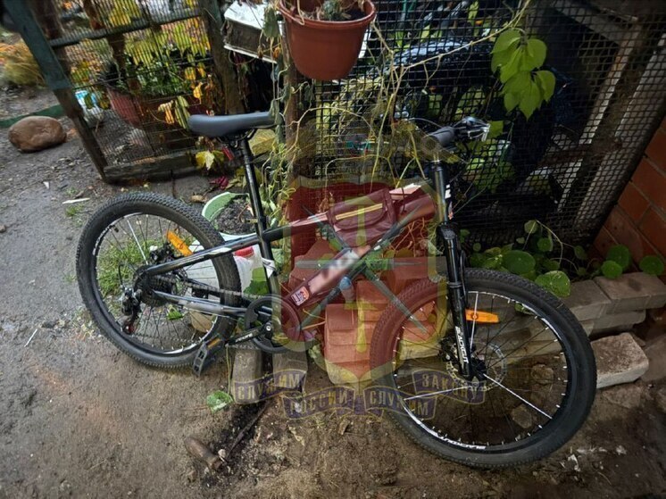 В Туле полиция раскрыла кражу электровелосипеда с улицы Ложевой