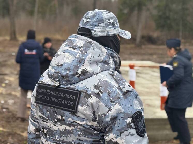 Суд запретил любые стройработы в Сосновой роще Йошкар-Олы