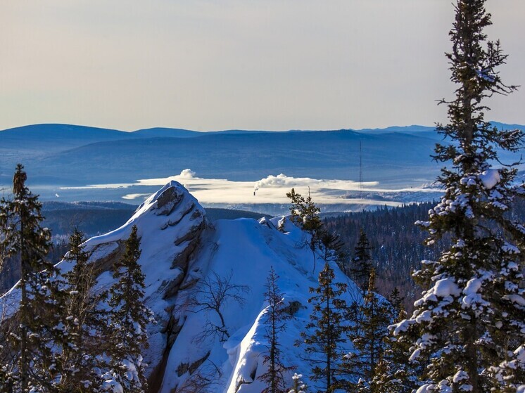 Лоси затеяли драку в нацпарке Таганай