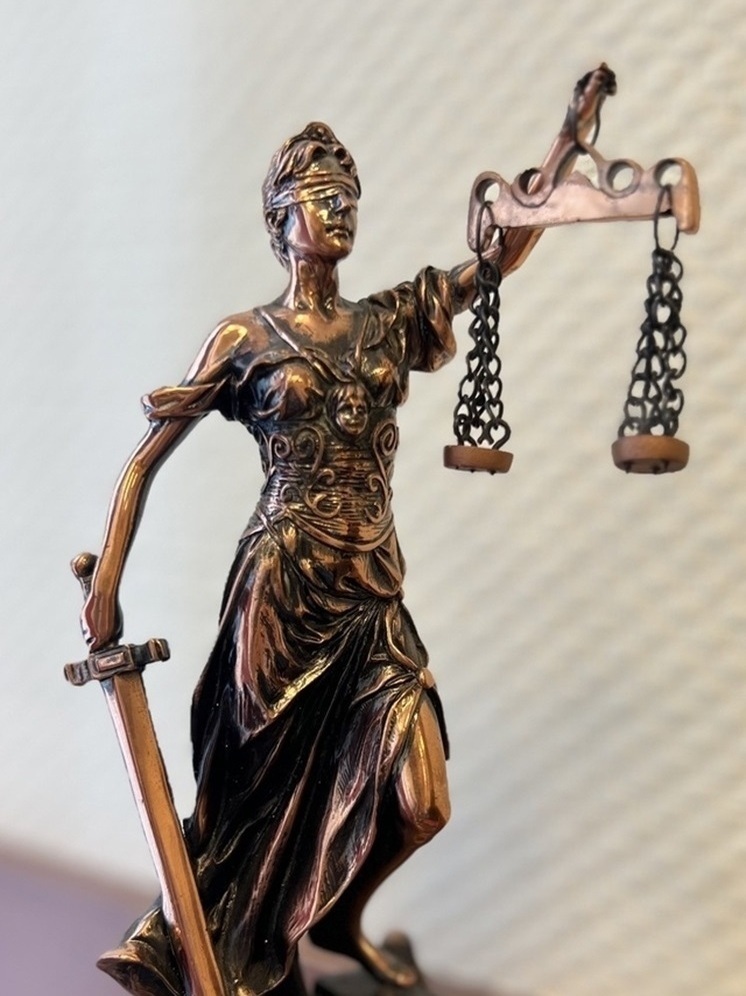 Владелец аттракциона в Добросельском парке Владимира заплатит 150 тысяч рублей за сломанную руку ребенка