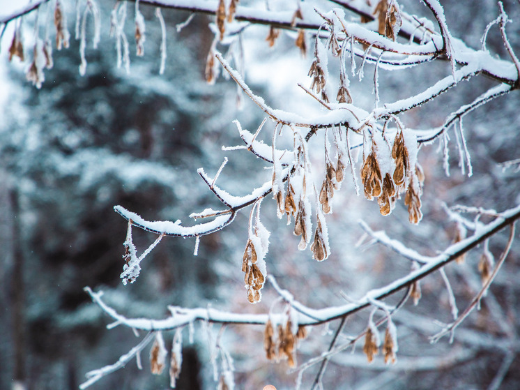 Погода на выходных в Тверской области: ночные заморозки и солнце днем