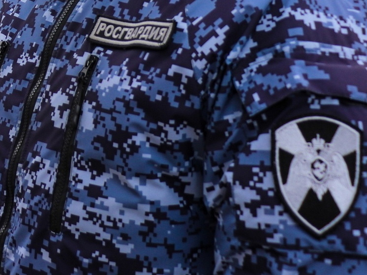 17-летний йошкаролинец на глазах росгвардейцев выпил и сел за руль