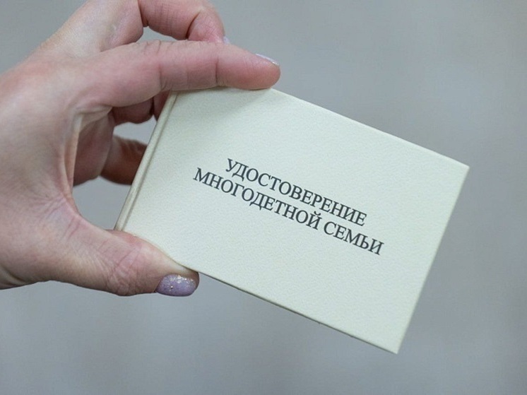 Под новый закон для матерей-героинь попадают минимум четыре семьи из Владимирской области