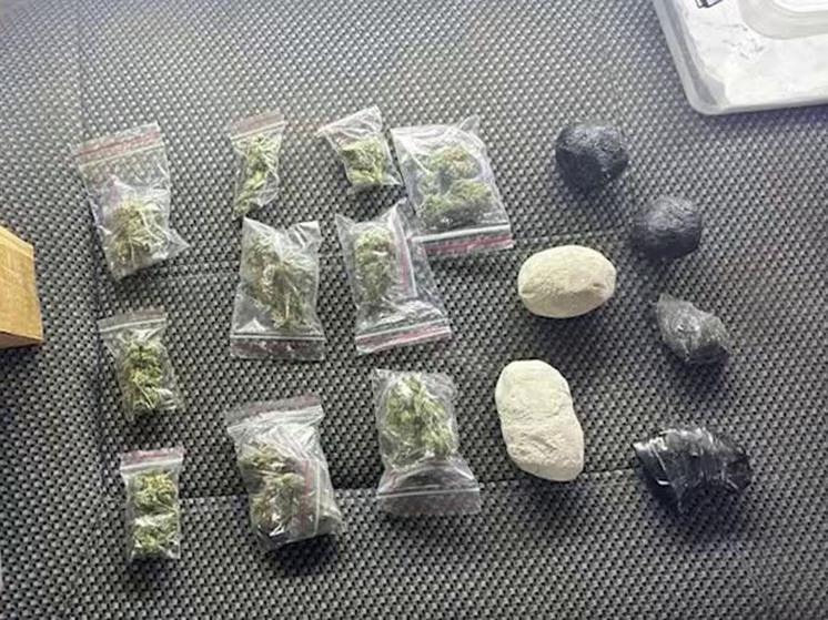 В Саратове дилер помещал наркотики в самодельные камни из алебастра