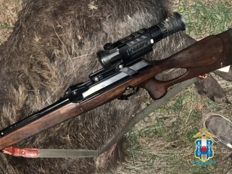 В Ростовской области завели уголовное дело на охотника, незаконно застрелившего восемь кабанов