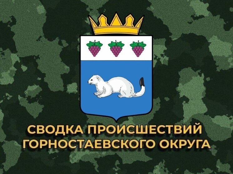 За сутки ВСУ 10 раз обстреляли Горностаевский округ