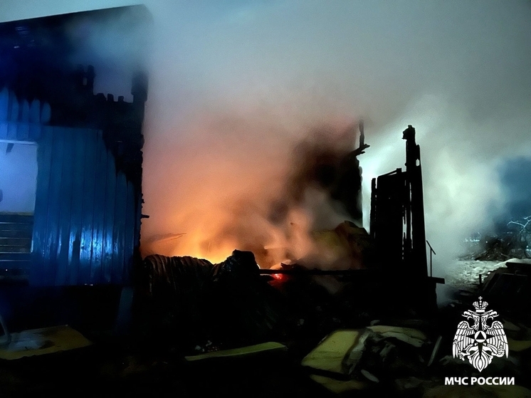 Три крупных пожара ликвидировано на Вологодчине за минувшие сутки