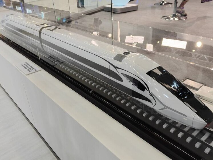 Мишустин сообщил о старте производства рельсов и корпусов ВСМ