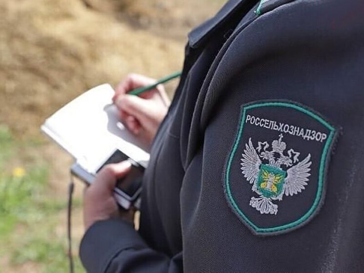 В Дагестане ликвидировали стихийную свалку на землях сельхозназначения