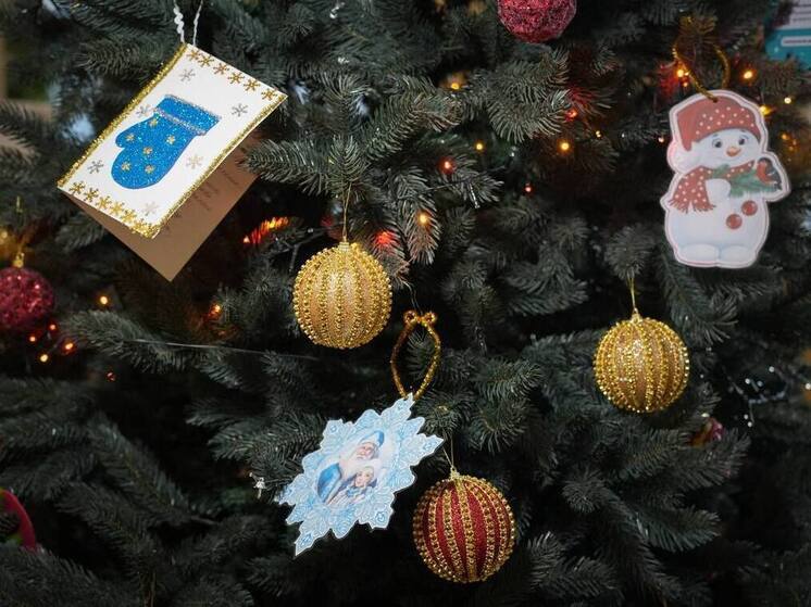 В Приангарье дан старт Всероссийской акции «Елка желаний»