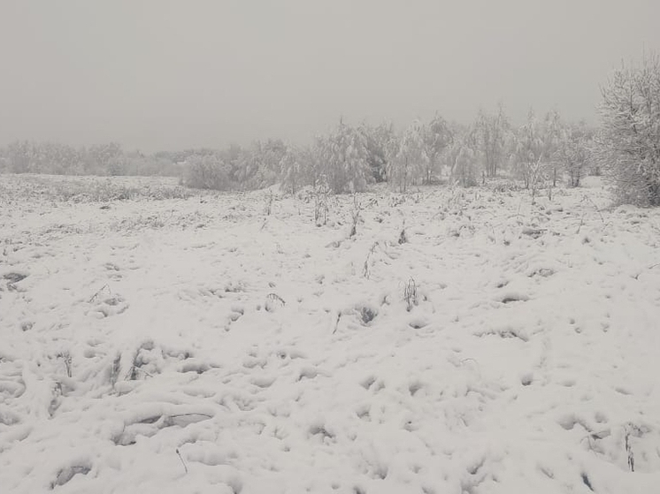 В Александрове чиновница превысила полномочия припродаже земли