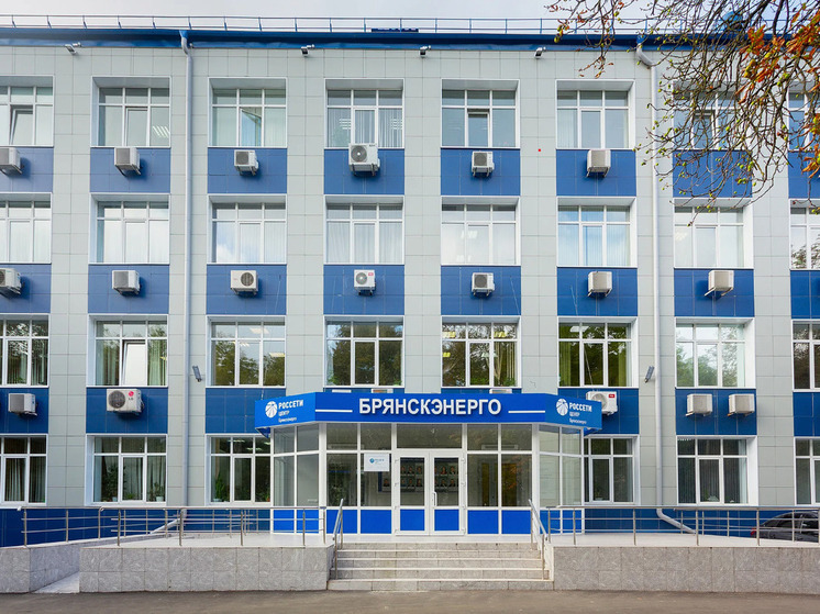 «Брянскэнерго» и «Брянскэлектро» напоминают жителям Брянской области о необходимости соблюдения правил электробезопасности в зимний период