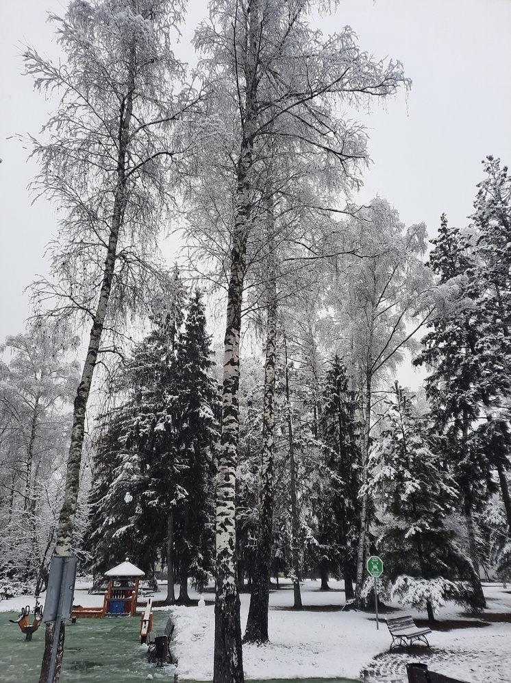 В Саранске коммунальные службы перешли на усиленный режим работы из-за гололеда