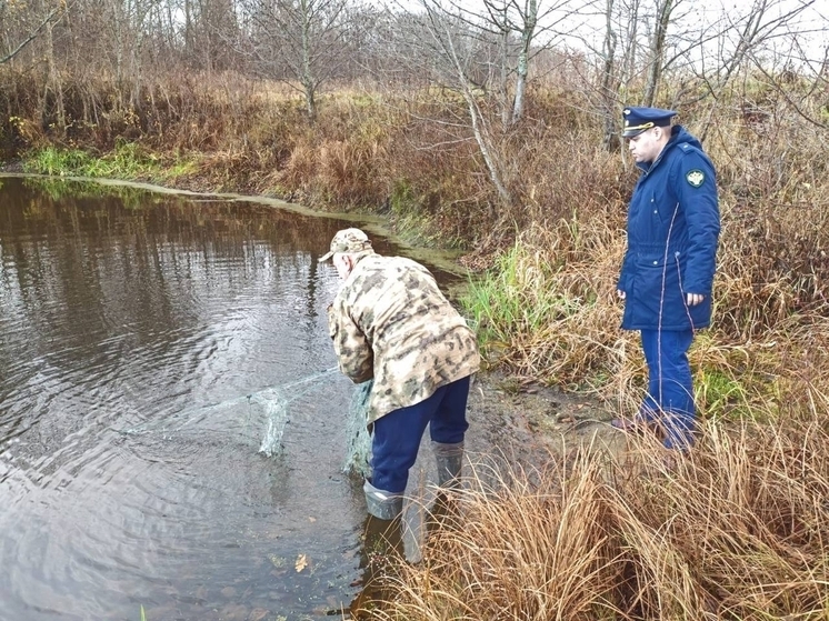 Владимирская прокуратура пресекла незаконный лов рыбы в заказнике