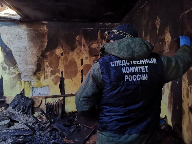 Липецкие следователи выясняют причины гибели женщины при пожаре