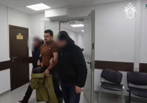 Следователи ГСУ СКР по Москве раскрыли убийство Виктории Казарян и ее 9-летней дочери, совершенное в ночь на 14 февраля 2015 года в пентхаусе в центре Москвы