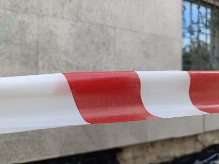 В Алтайском крае выявили очередной очаг бешенства